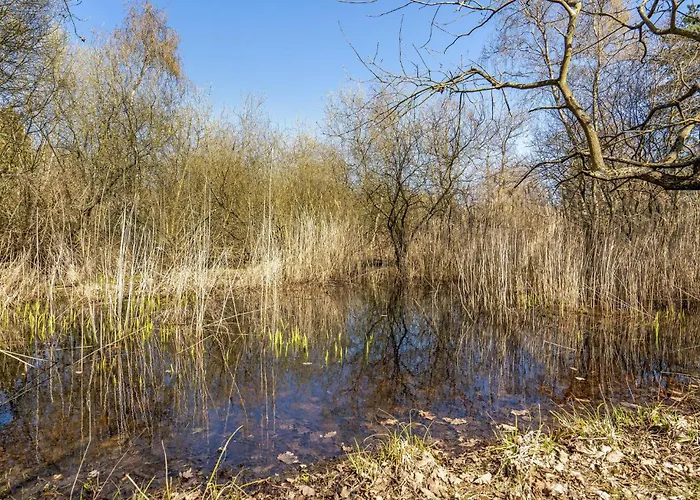 Σπίτι διακοπών Pet Friendly In With Wifi Nordenbro Vesteregn